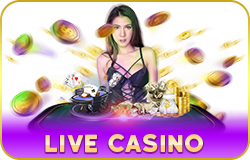 live casino